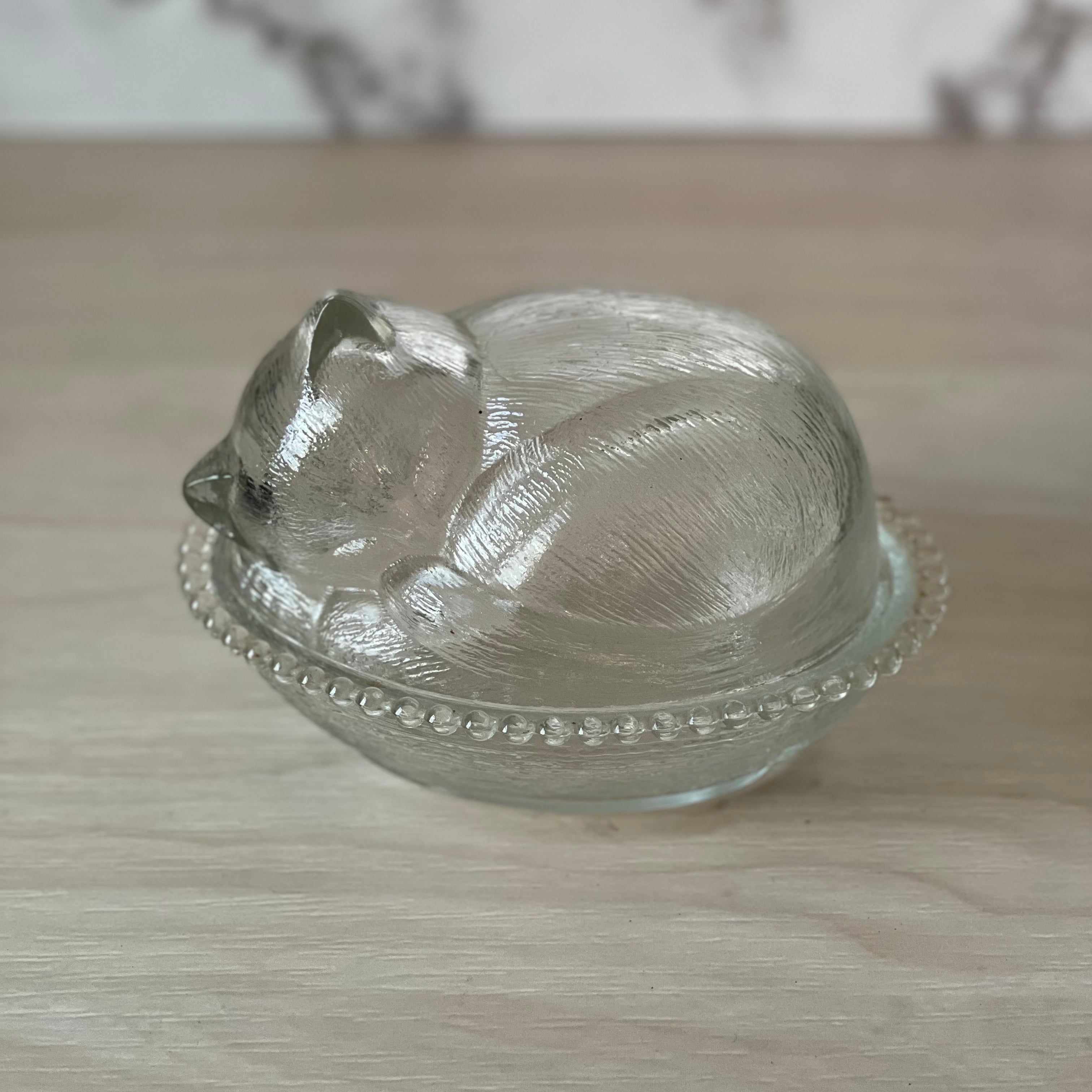 Clear Glass Cat Container with Lid Sap & Seedling Market