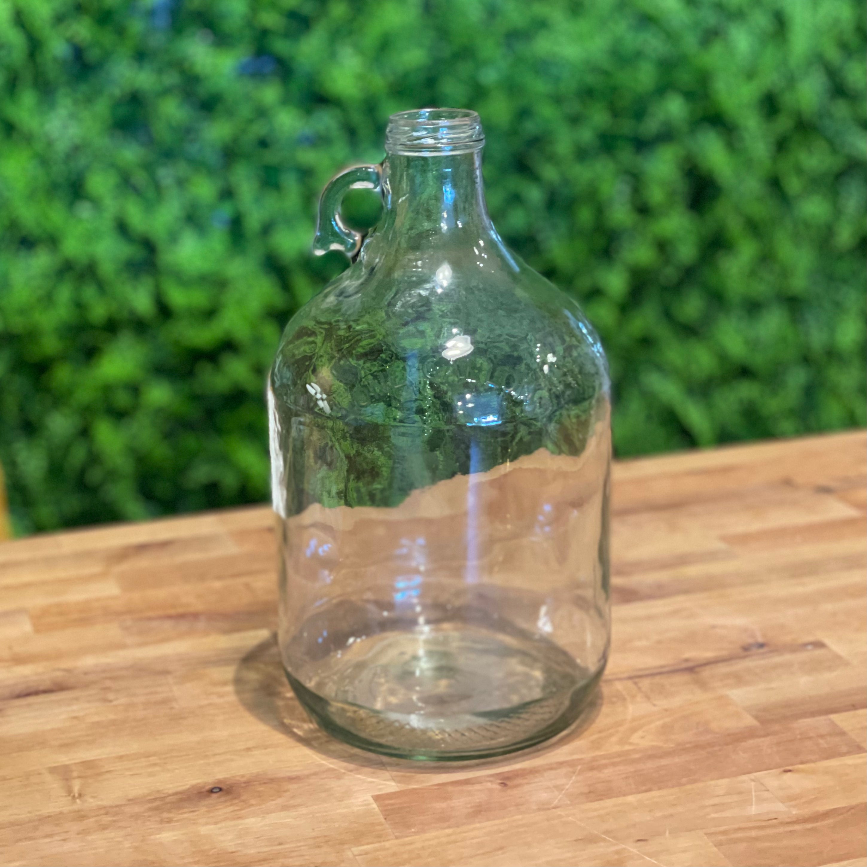 Glass Gallon Jug Sap & Seedling Market