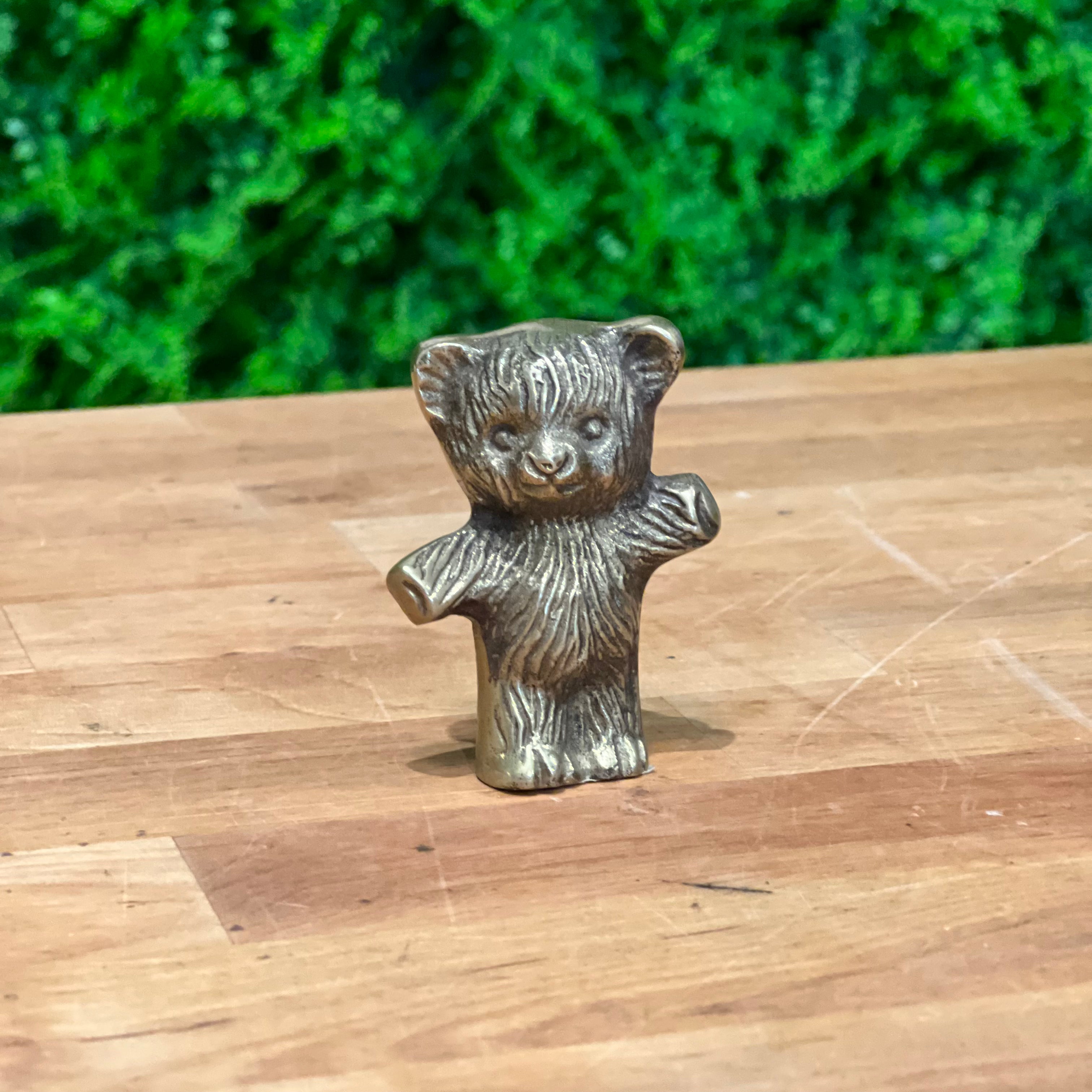 Brass Bear Sap & Seedling Market