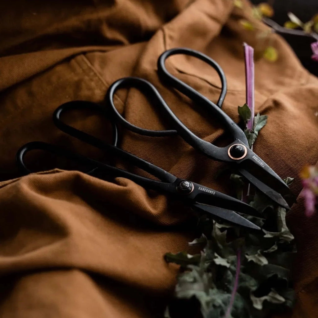 Barebones Artisan Trimming Shears Sap Seedling Market