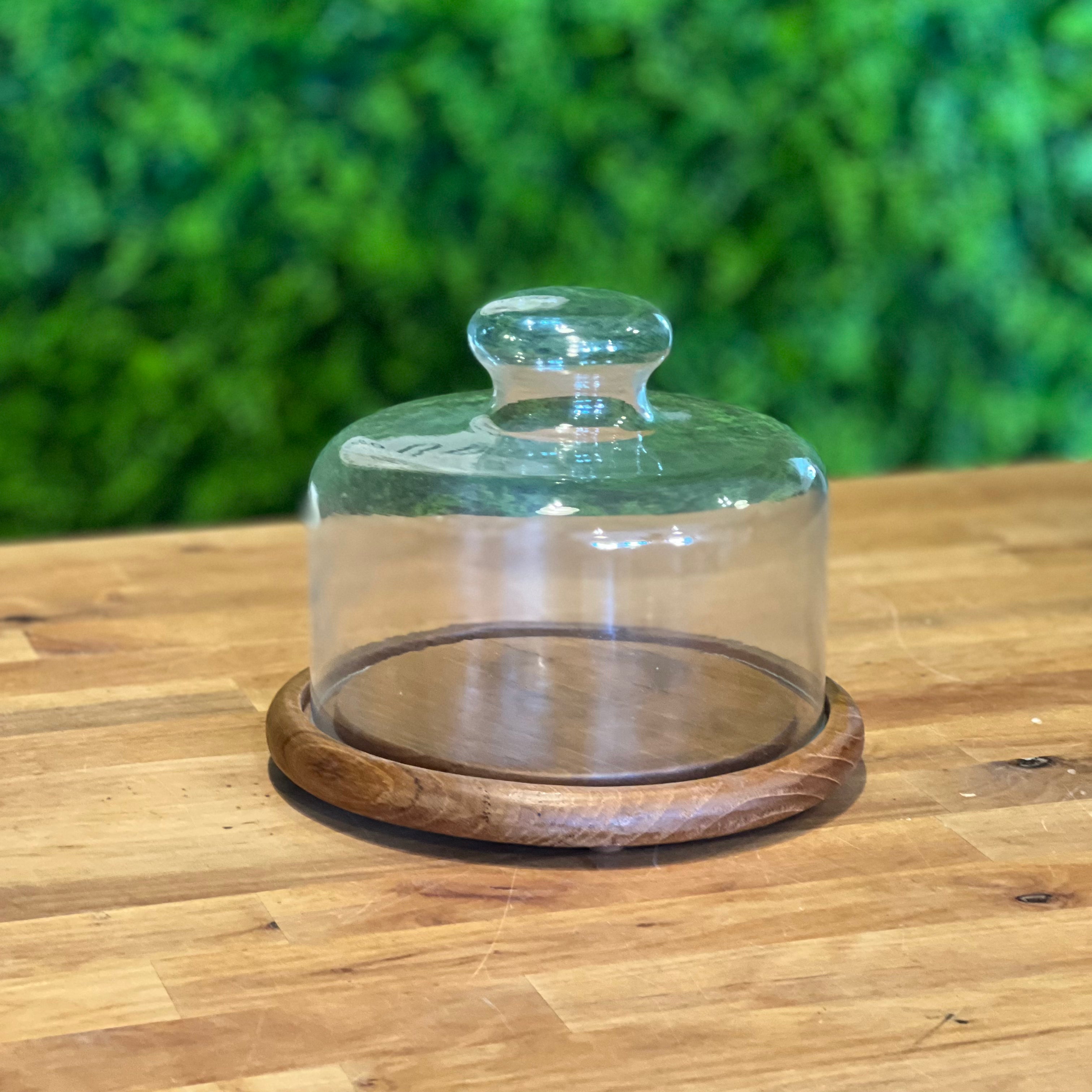 Wood Platter with Cover Sap & Seedling Market